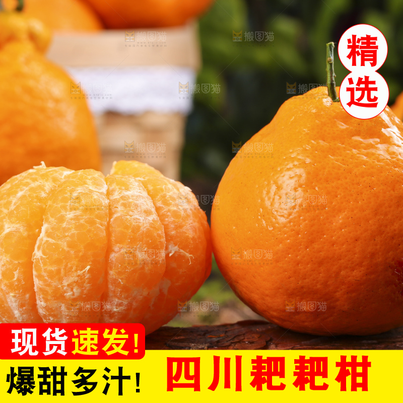 深底上放着四川春见