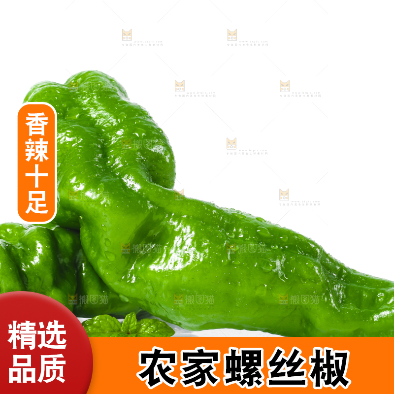 白底上的新鲜螺丝椒
