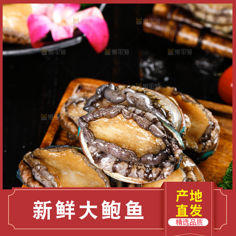 黑底上放着一盘鲍鱼