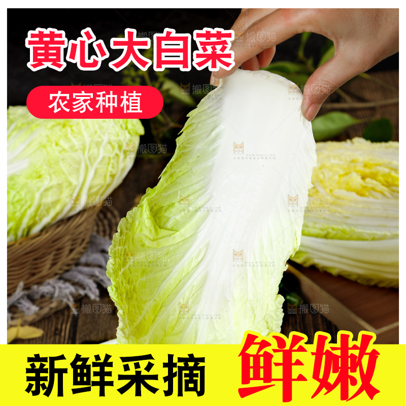 手拿大白菜叶
