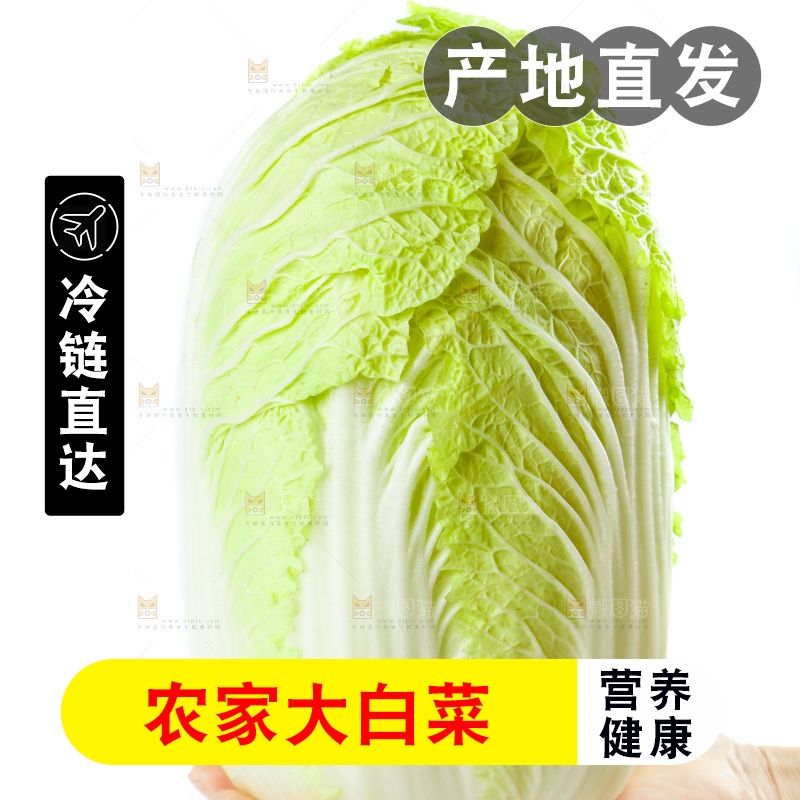 手拿大白菜