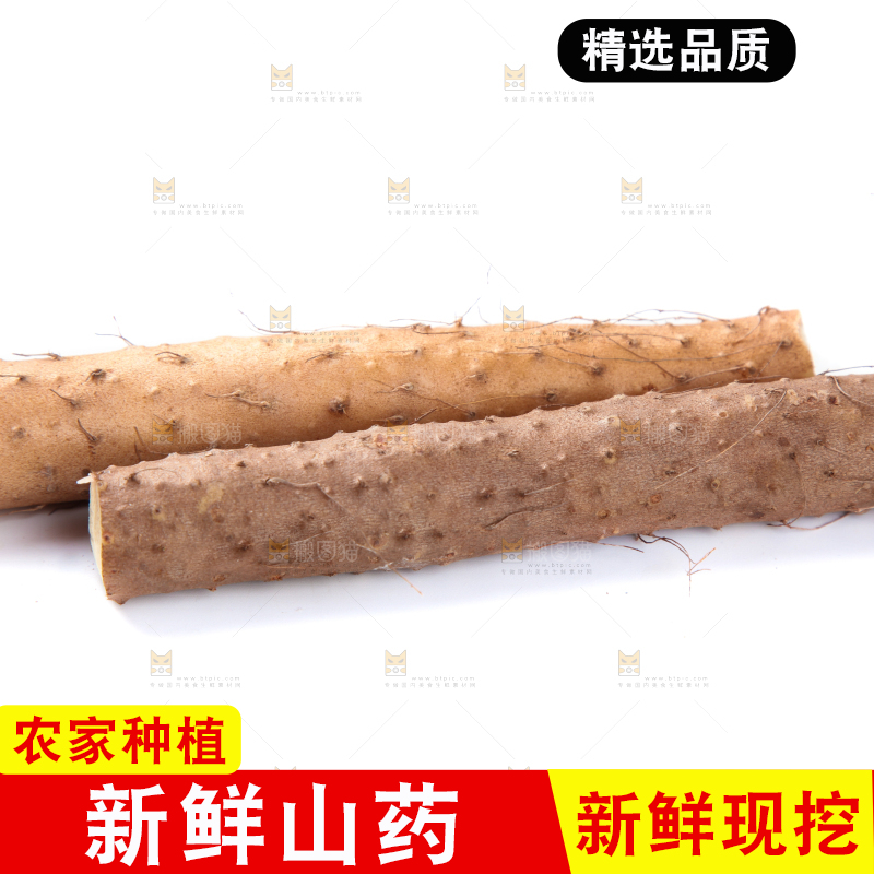 白底上摆放着山药
