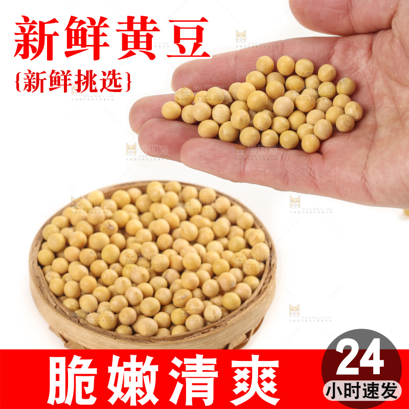 白底上放着东北黄豆
