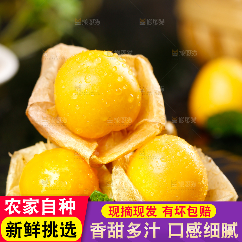 黑底上放着姑娘果