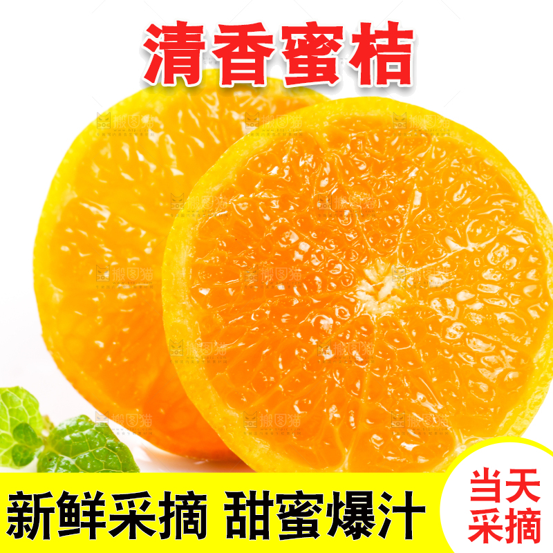 切开的清香蜜桔放在白底上