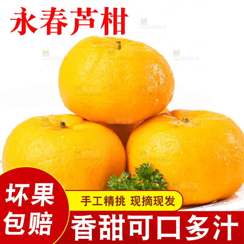 白底上放着芦柑