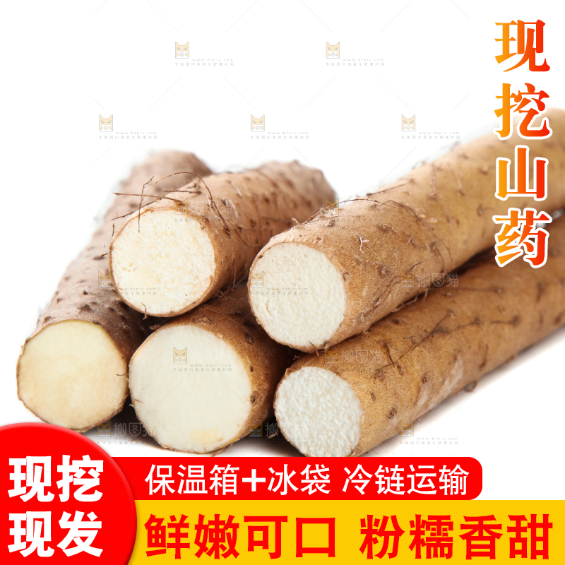 白底上摆放着山药