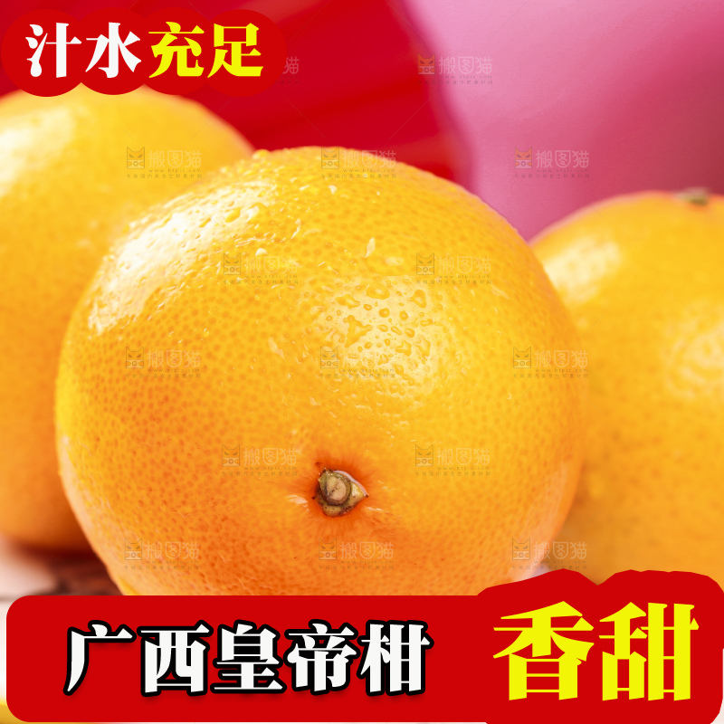 石盘上的广西皇帝柑