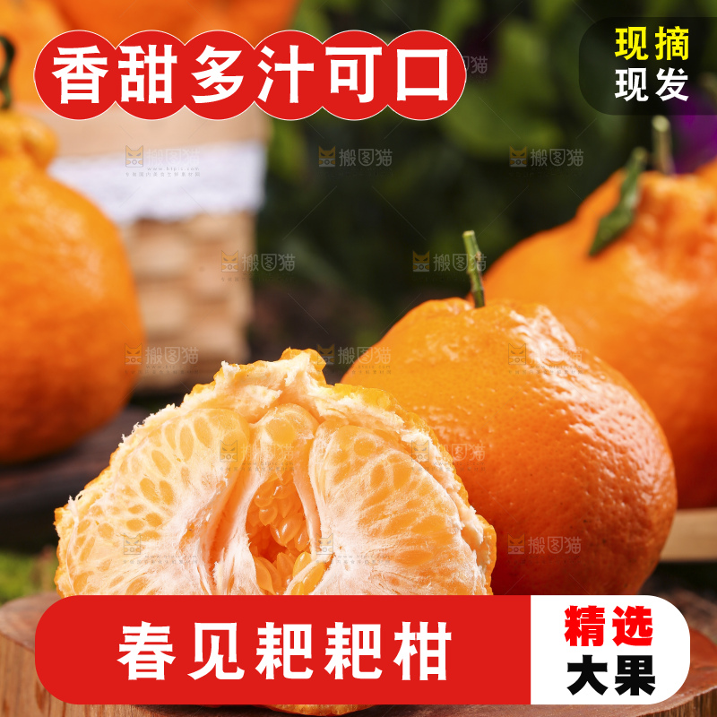深底上放着四川春见