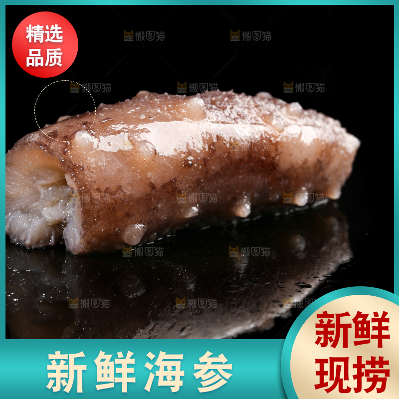 黑底上的辽参