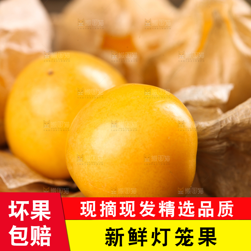 条纹布上摆放着姑娘果