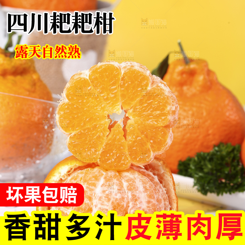 石板上的四川耙耙柑