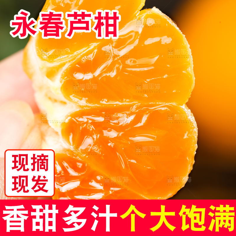 手里拿着新鲜芦柑