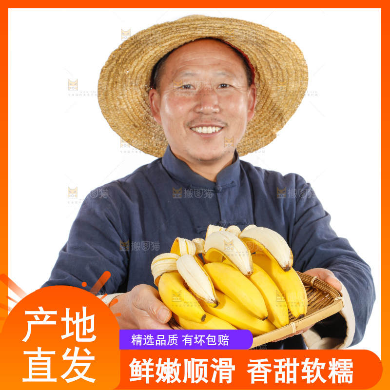 农民手里拿着一串香蕉