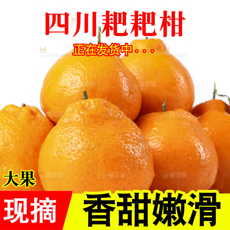 白底上放着春见桔橙
