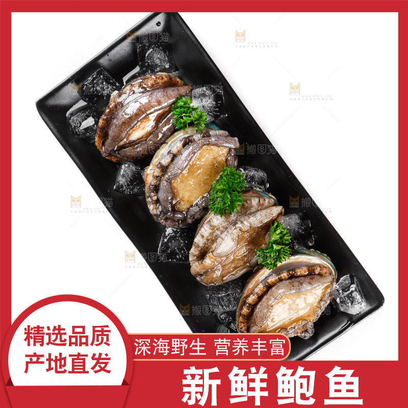 一盘鲍鱼放在白底上