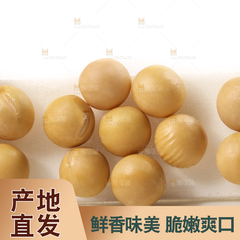 白底上的黄豆粒