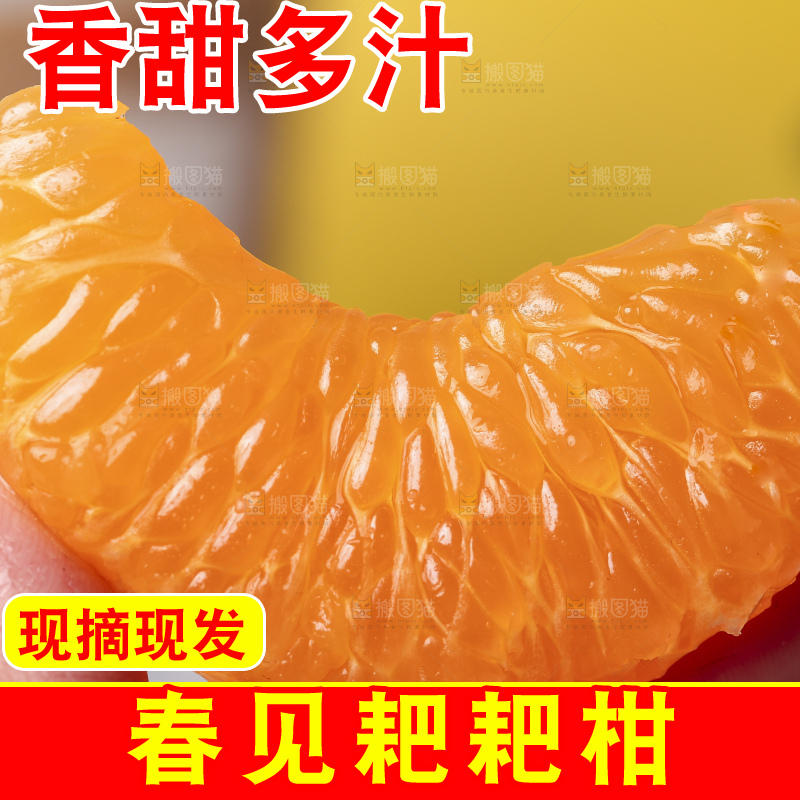 手上拿着春见果肉