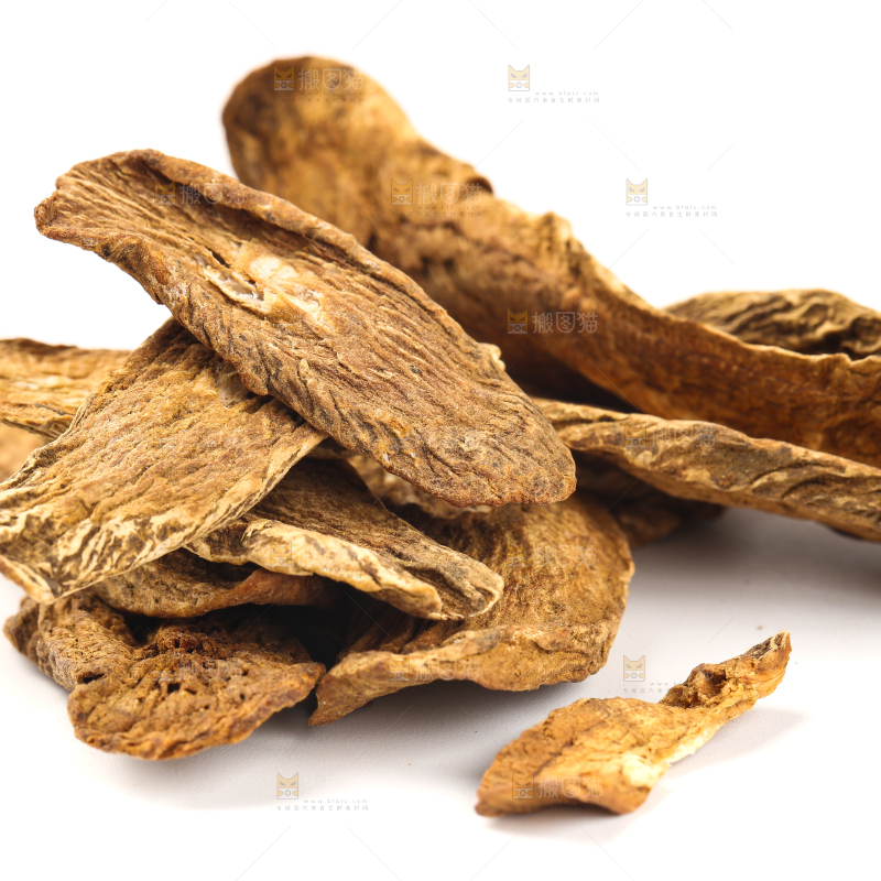 白底上摆放着牛蒡