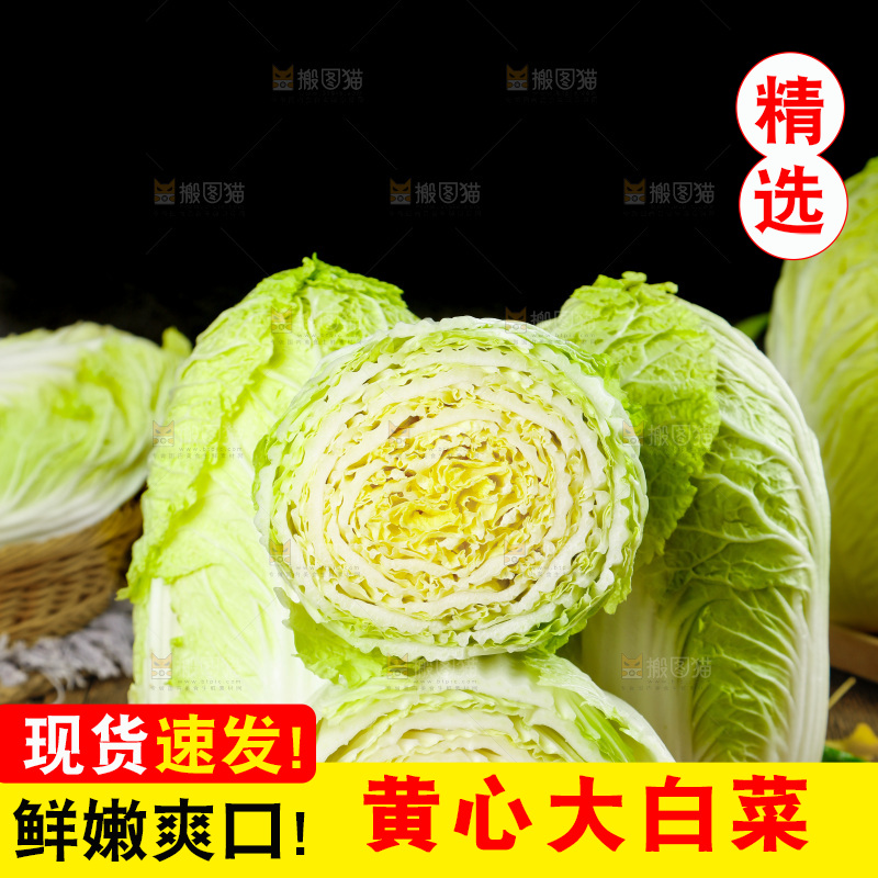 木底上放着切开的山东大白菜