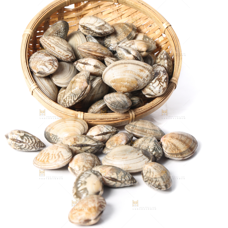 白底上的花甲