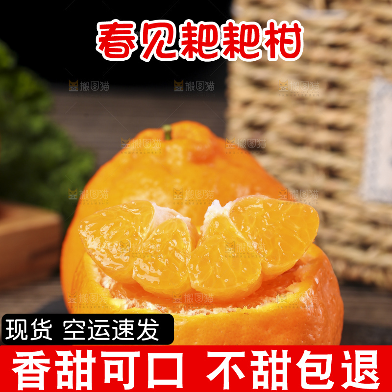 深底上的新鲜耙耙柑