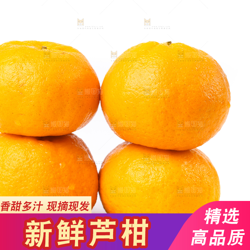 白底上放着芦柑
