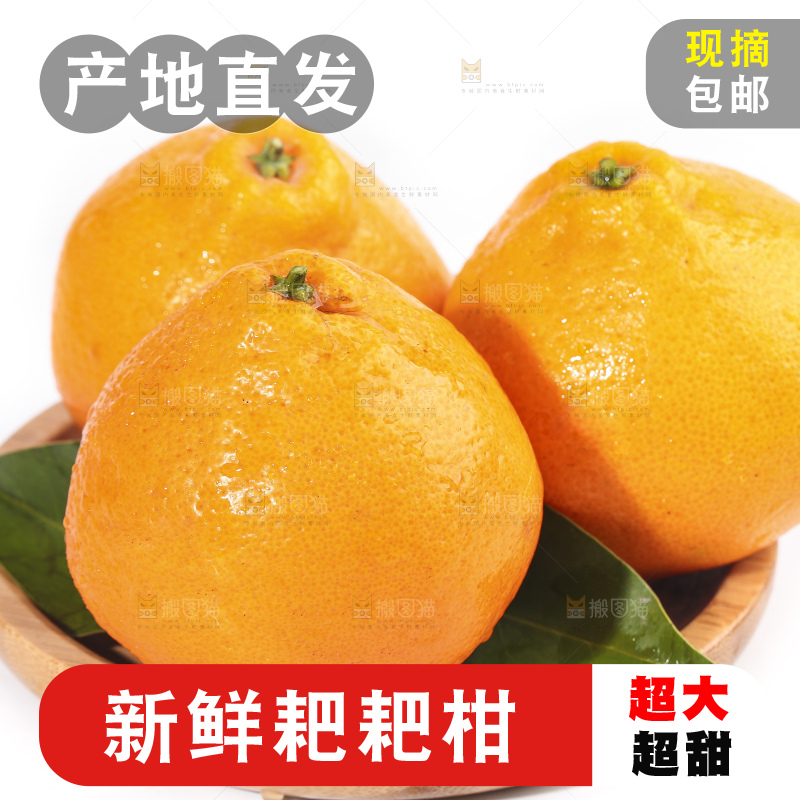 一盘新鲜的耙耙柑放在白底上