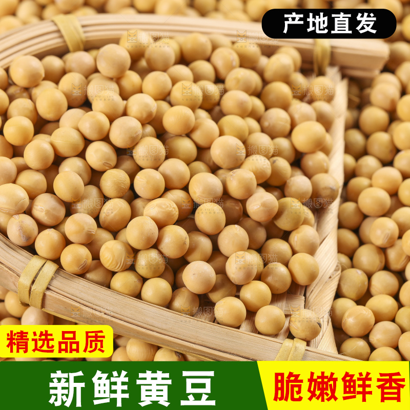 白底上放着东北黄豆