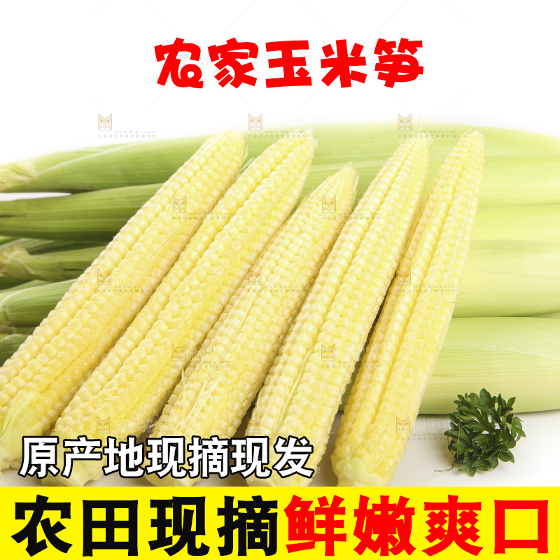 白底上的珍珠笋