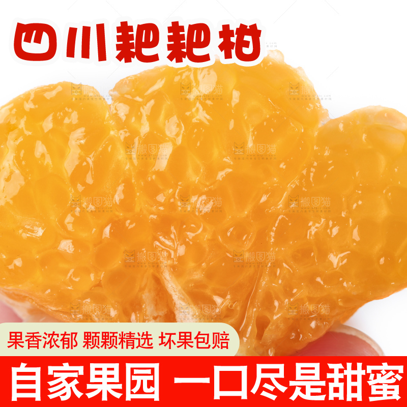 白底上的春见耙耙柑