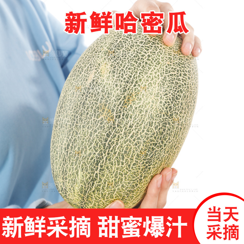 手里抱着哈蜜瓜