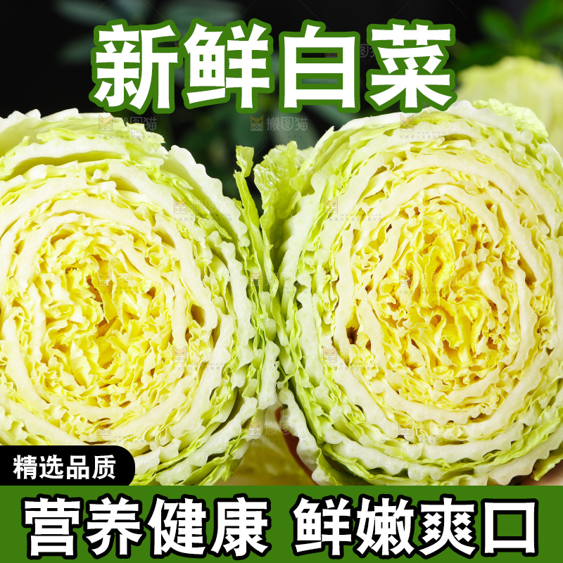 手拿切开的大白菜