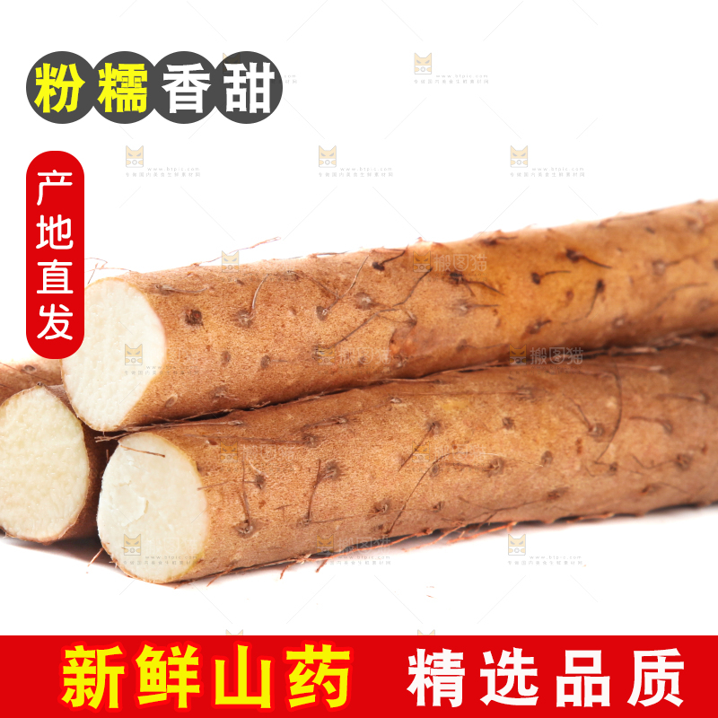 白底上摆放着山药