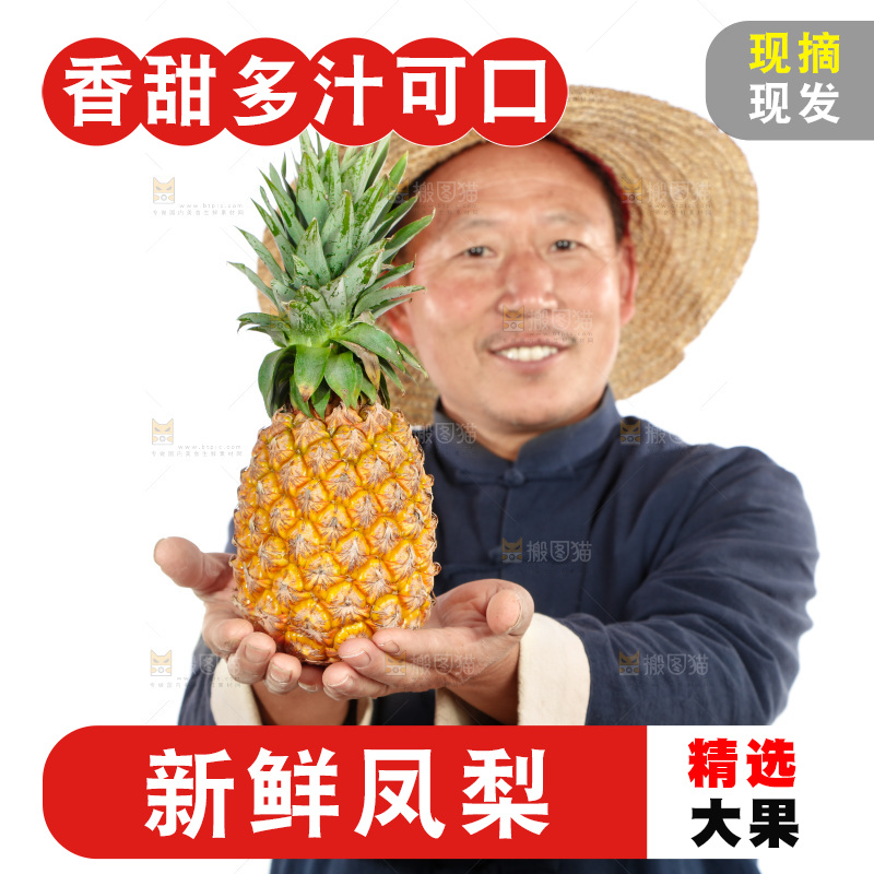 农民手里拿着凤梨