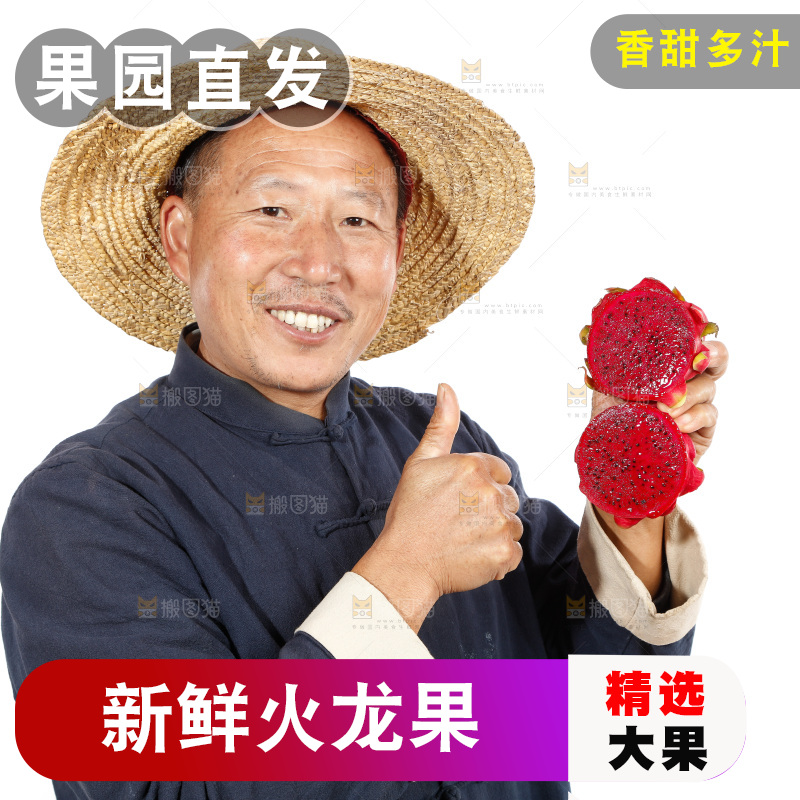 农民手里拿着红心火龙果