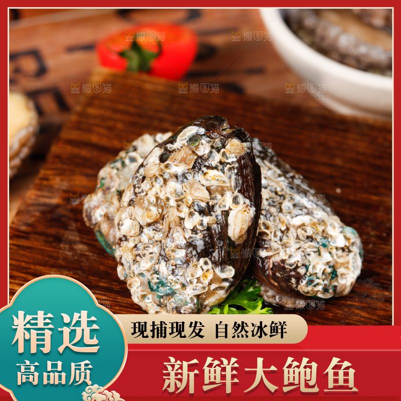 木底上的新鲜大鲍鱼