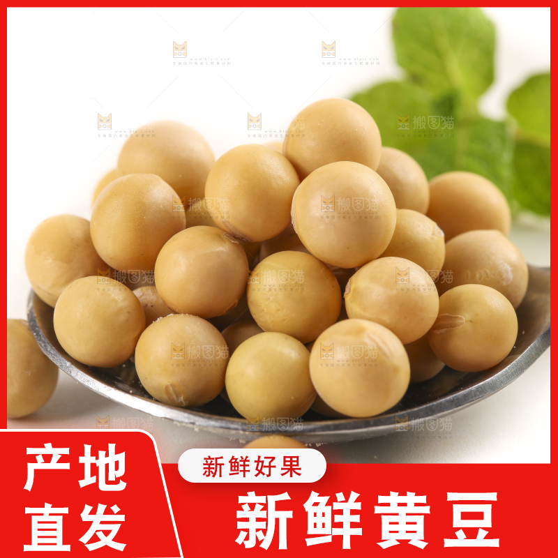 白底上放着东北黄豆