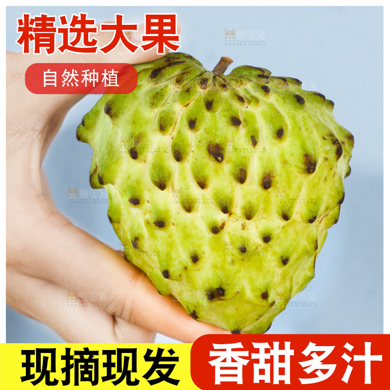 手里拿着释迦果