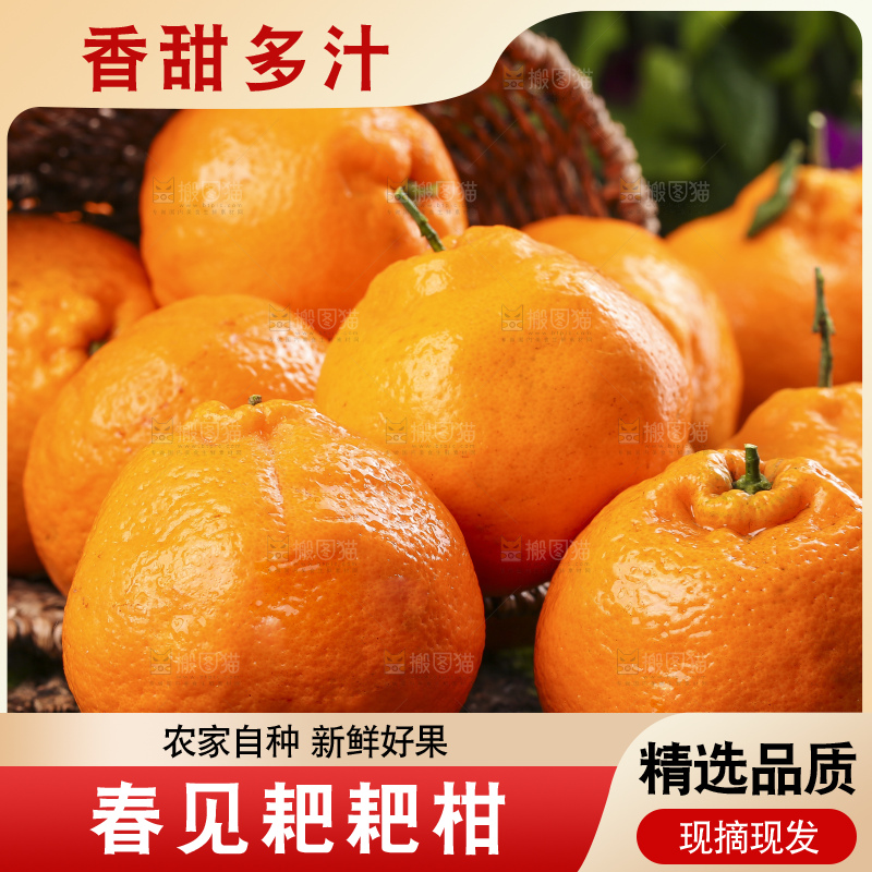 草地上摆放着耙耙柑