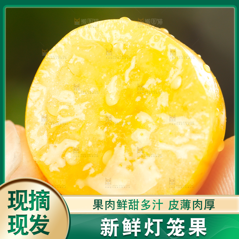 手里拿着灯笼果