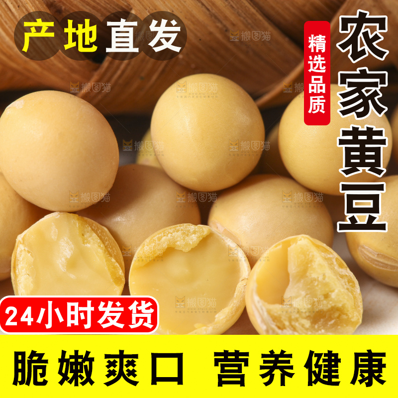 白底上放着东北黄豆