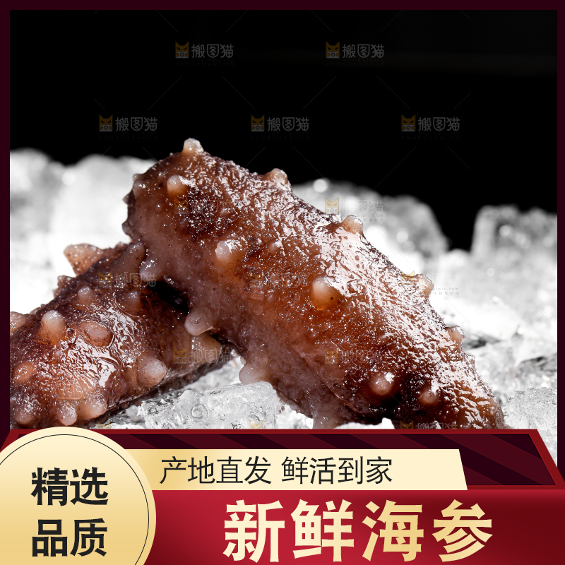 黑底上的冰镇海参