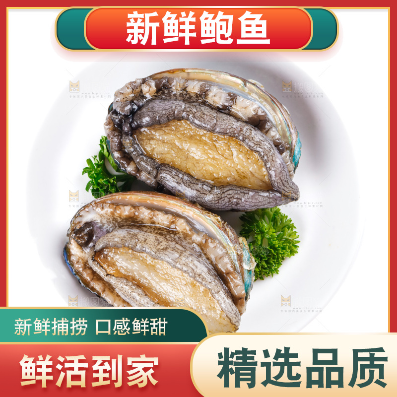 一盘鲜鲍鱼放在白底上