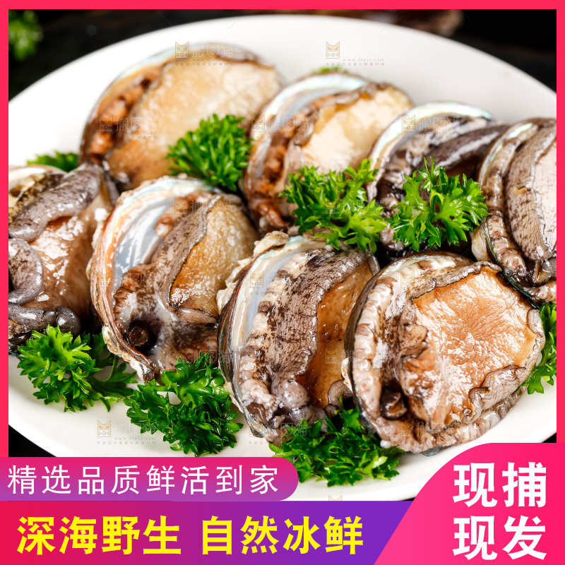 黑底上放着一盘鲍鱼