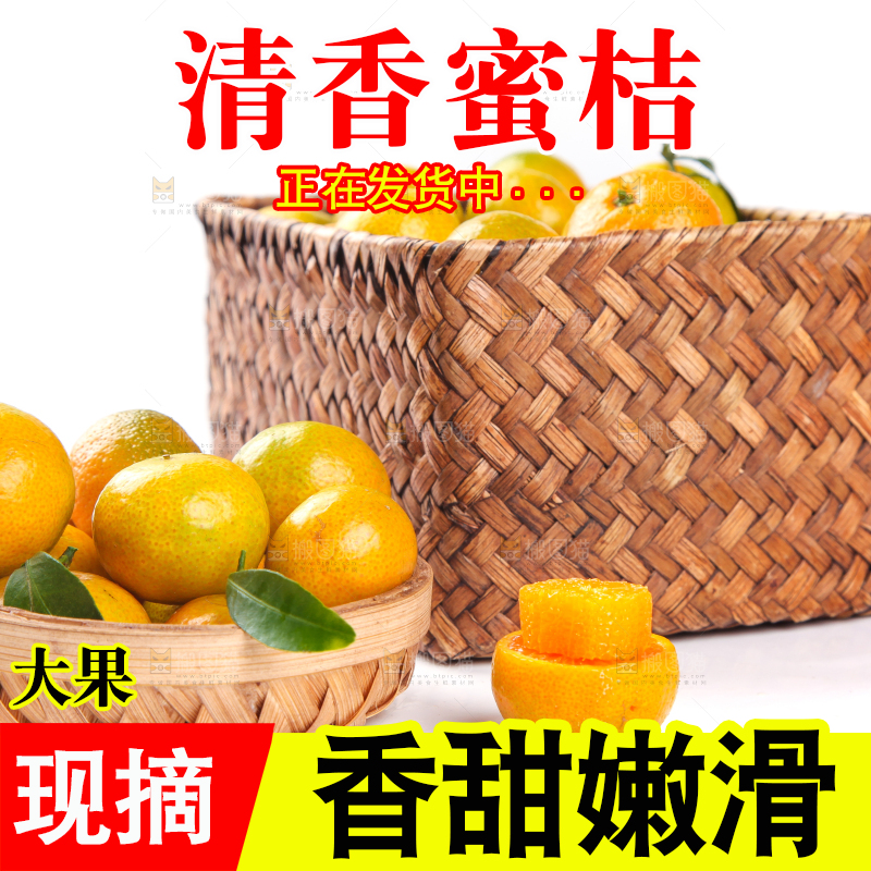 一筐清香蜜橘放在白底上