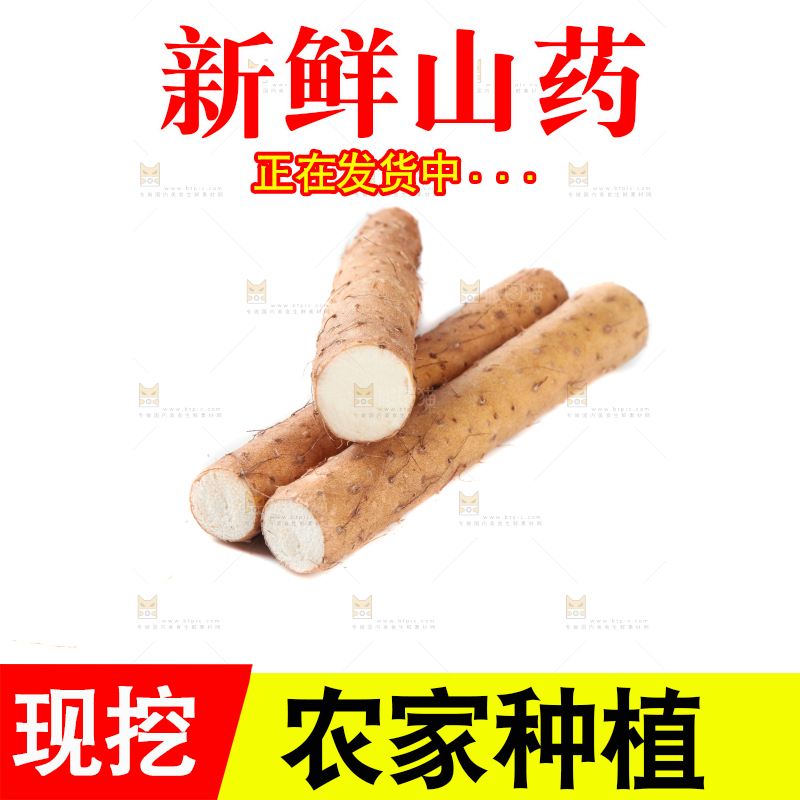 白底上摆放着山药