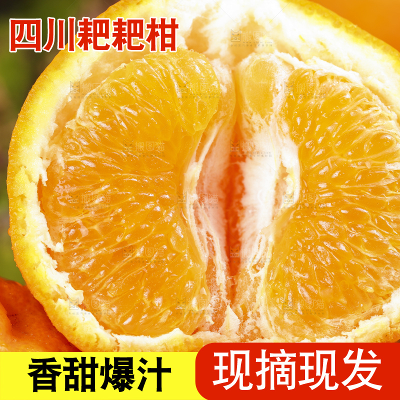 深底上放着四川春见