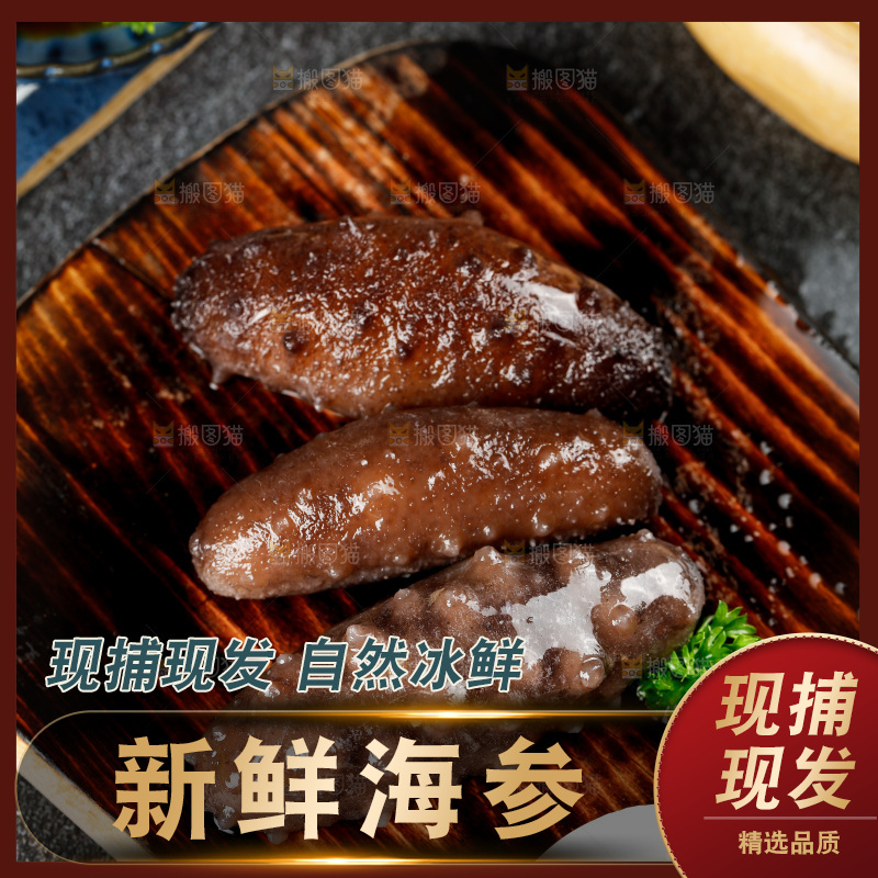 木底上的海参