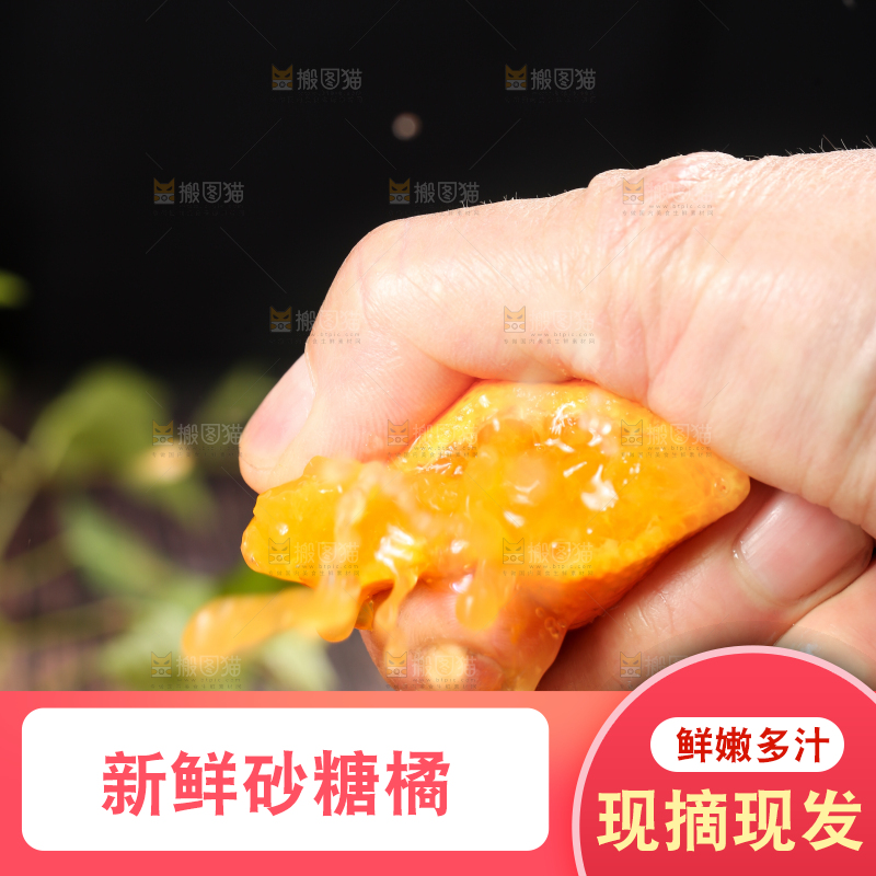 手拿砂糖橘